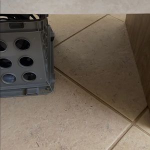 Meet your Posher, Maggie